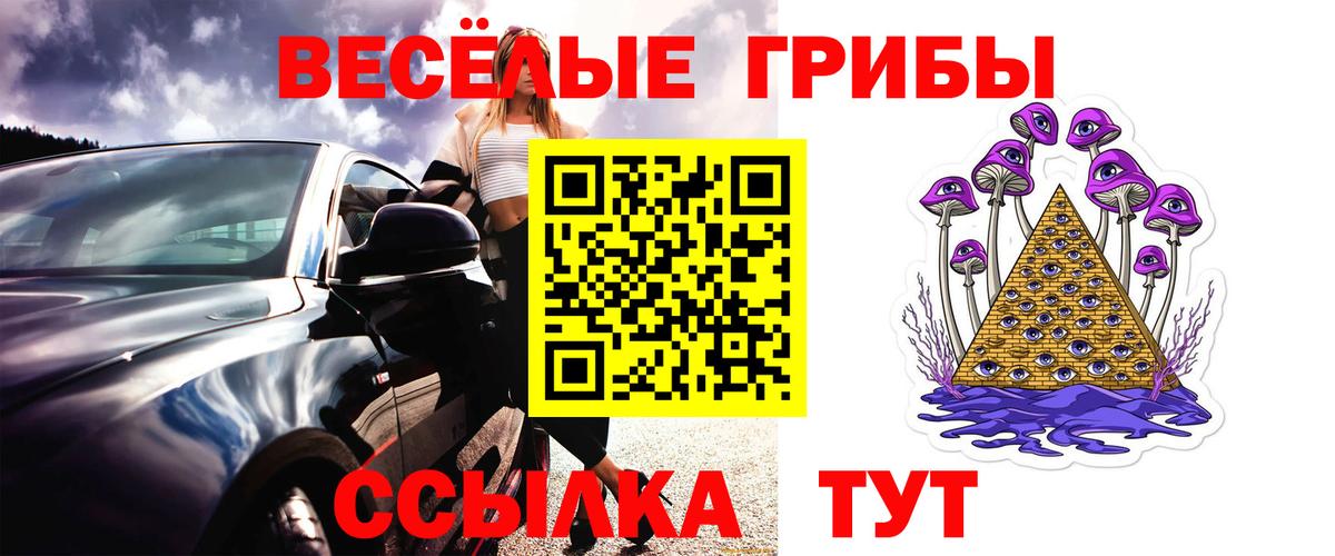 Кинель  Псилоцибиновые грибы GOLDEN TEACHER  Галлюциногенные грибы прущие грибы  Вход с VPN 